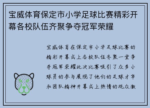 宝威体育保定市小学足球比赛精彩开幕各校队伍齐聚争夺冠军荣耀