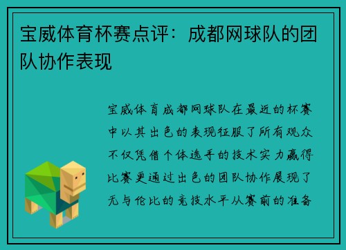 宝威体育杯赛点评：成都网球队的团队协作表现